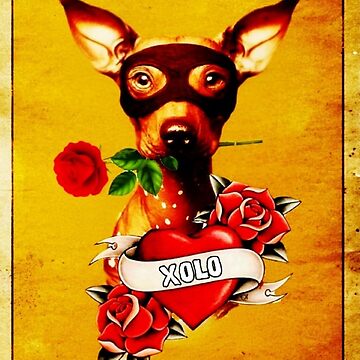 Imagen de la obra Lotería 2 de XoloWear24 de XoloWear24