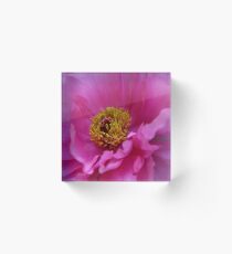 Flower Travelling Japan 20 Acrylic Block