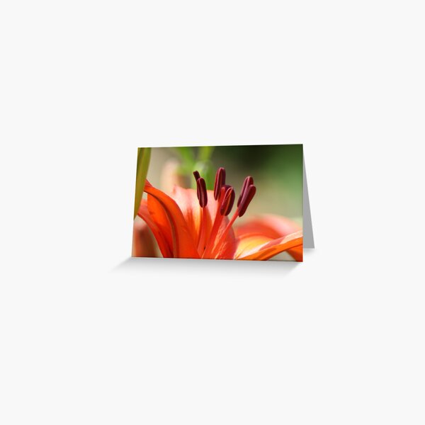 Item preview, Stamens designed and sold by Rick  Friedle.