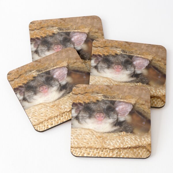 Item preview, Sleeping Possum at Magpie Springs by Avril Thomas designed and sold by MagpieSprings.