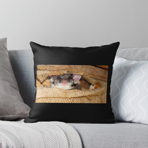 Item preview, Sleeping Possum at Magpie Springs by Avril Thomas designed and sold by MagpieSprings.
