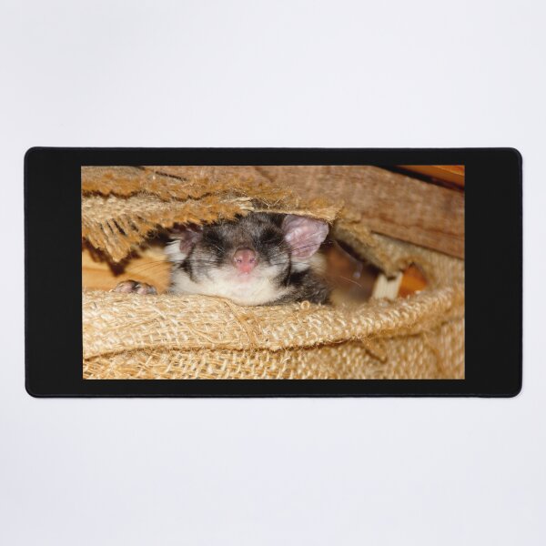 Item preview, Sleeping Possum at Magpie Springs by Avril Thomas designed and sold by MagpieSprings.