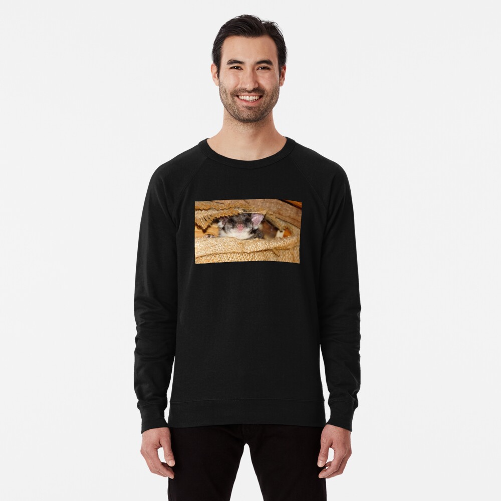 Item preview, Lightweight Sweatshirt designed and sold by MagpieSprings.