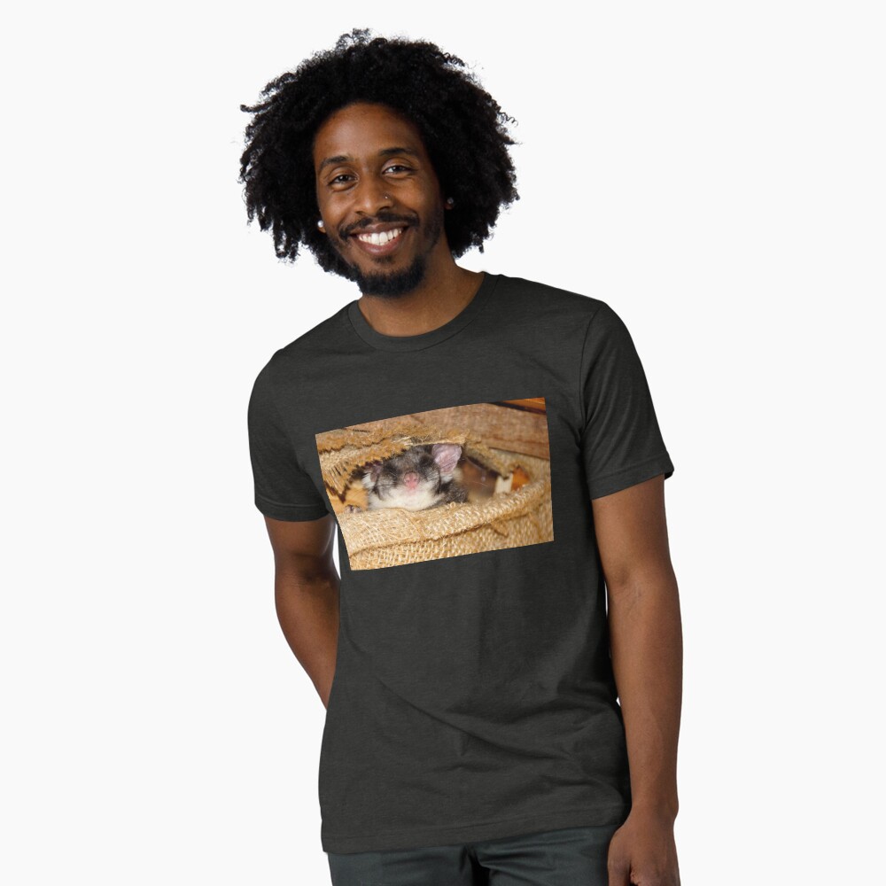 Item preview, Tri-blend T-Shirt designed and sold by MagpieSprings.
