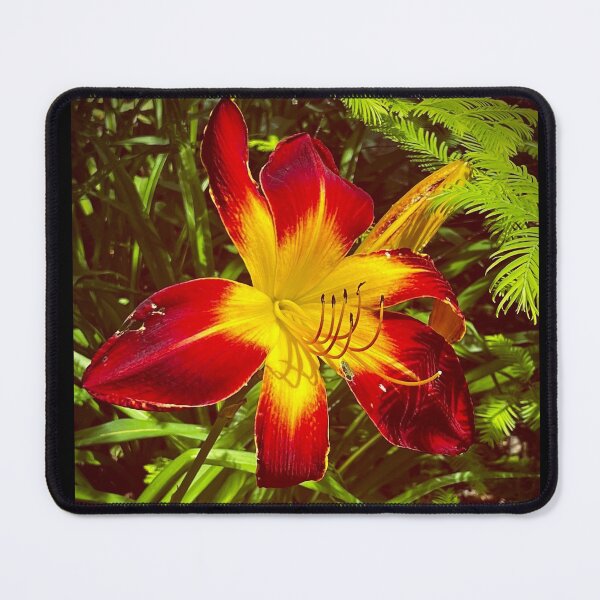 Item preview, Nature Elegance designed and sold by Lana Magnolia.