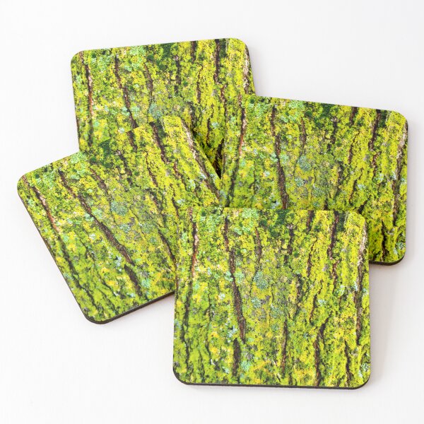 Item preview, Mossy Lichen Bark designed and sold by bjtomiko.