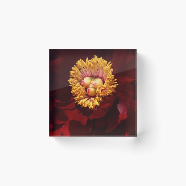 Item preview, Flower Travelling Japan 21 designed and sold by beeden.