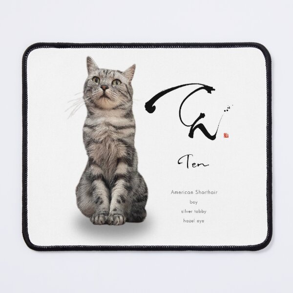 Item preview, Cat _American Shorthair designed and sold by KeisaiinKasho.