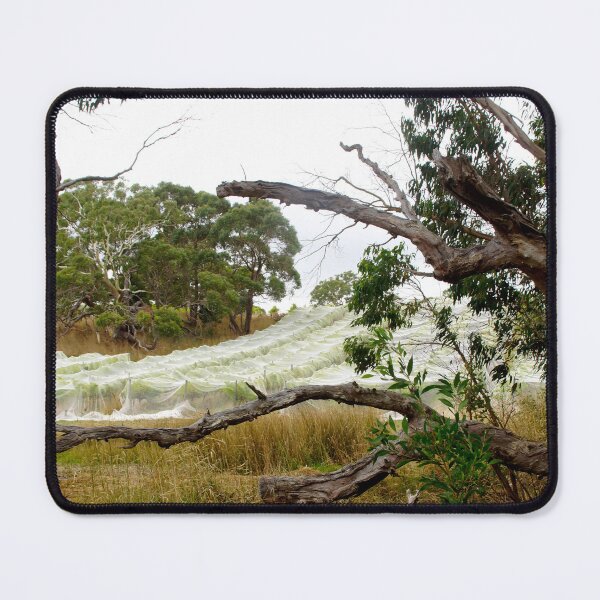 Item preview, Nets on the Sem by Adelaide artist Avril Thomas at Magpie Springs designed and sold by MagpieSprings.