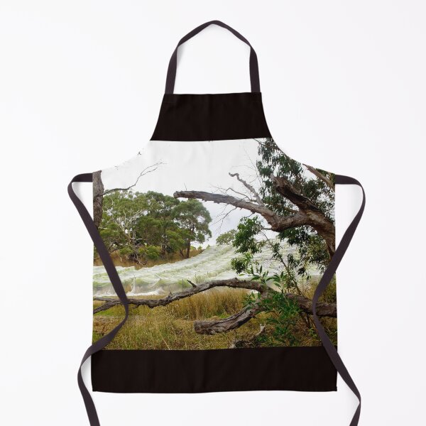 Item preview, Nets on the Sem by Adelaide artist Avril Thomas at Magpie Springs designed and sold by MagpieSprings.