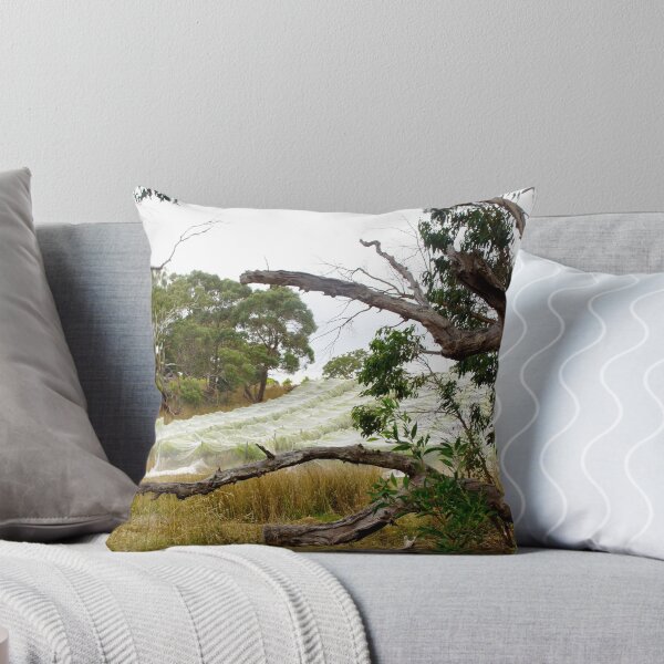 Item preview, Nets on the Sem by Adelaide artist Avril Thomas at Magpie Springs designed and sold by MagpieSprings.