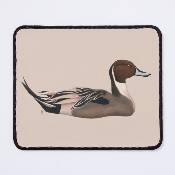 Item preview, Northern Pintail designed and sold by Wildlife Art by Holly.