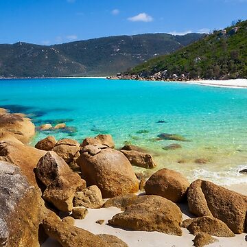 Artwork thumbnail, Little Waterloo Bay, Wilsons Promontory, Victoria, Australia by Michael Boniwell
