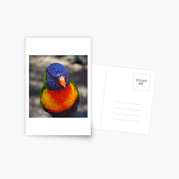 Item preview, Rainbow lorikeet  designed and sold by JessWickens91.