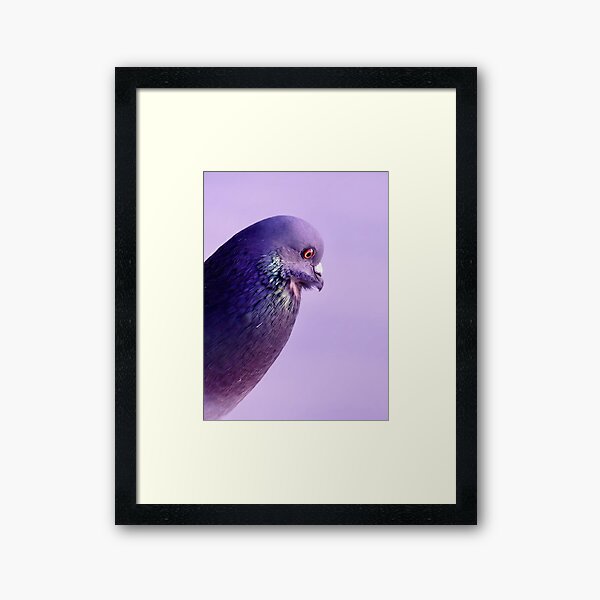 Item preview, The Vibrant Feathers of a Pigeon designed and sold by DeepFrame.