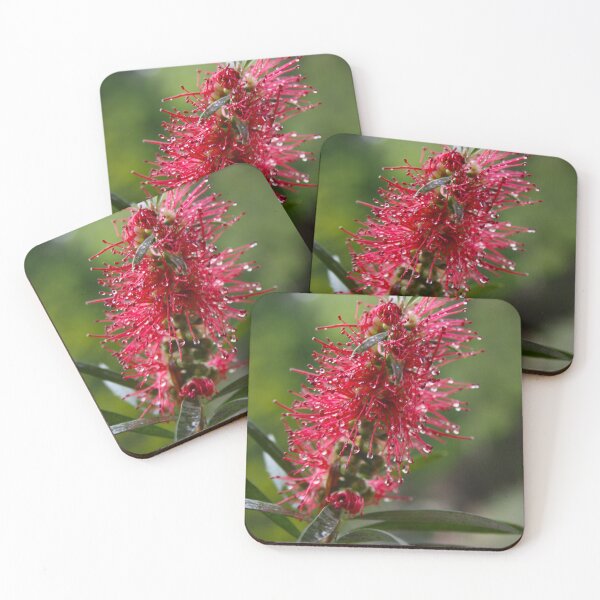 Item preview, Native Bottlebrush  designed and sold by JessWickens91.