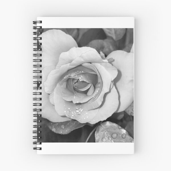 Item preview, Dewdrops on roses designed and sold by JessWickens91.