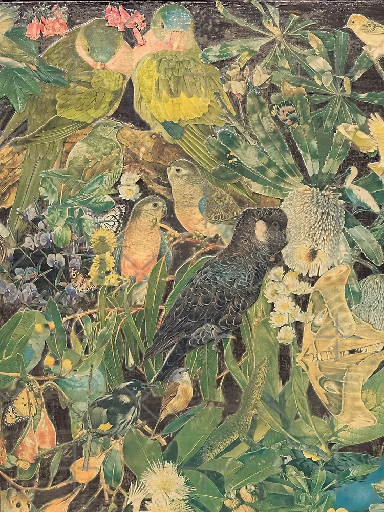 Thumbnail 3 of 3, Poster, Australian Birds designed and sold by Georgia Ray.