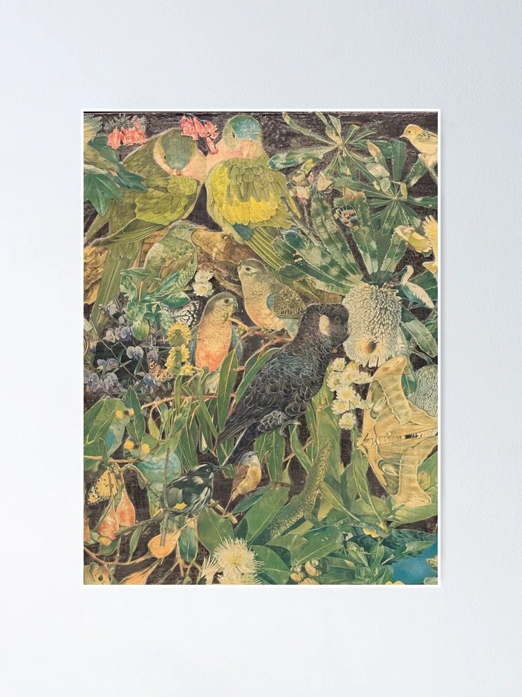 Thumbnail 1 of 3, Poster, Australian Birds designed and sold by Georgia Ray.