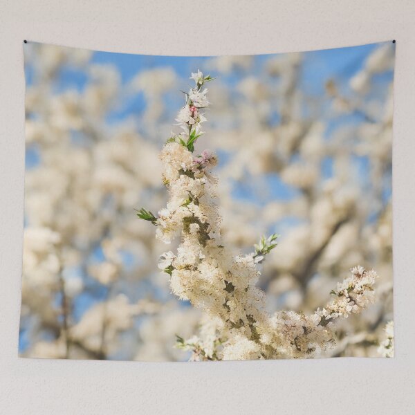 Item preview, Spring Blossom Bokeh – Delicate White Blooms Against Blue Sky designed and sold by ArtArchive-KK.