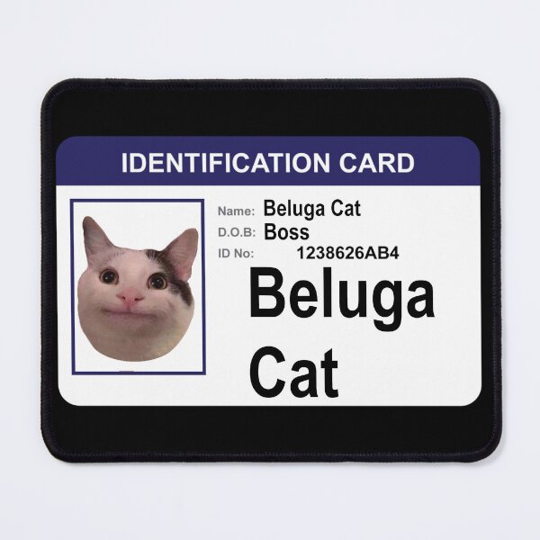 Item preview, Beluga Cat Identification Card designed and sold by Beluga Cat.