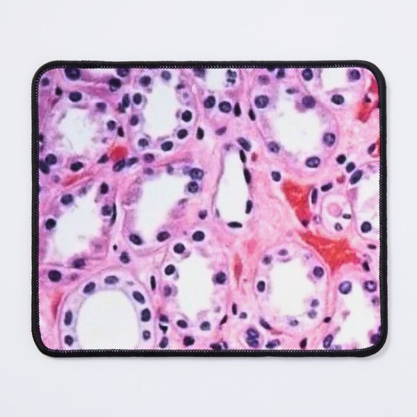 Item preview, Histology  designed and sold by Echo Aesthetics.