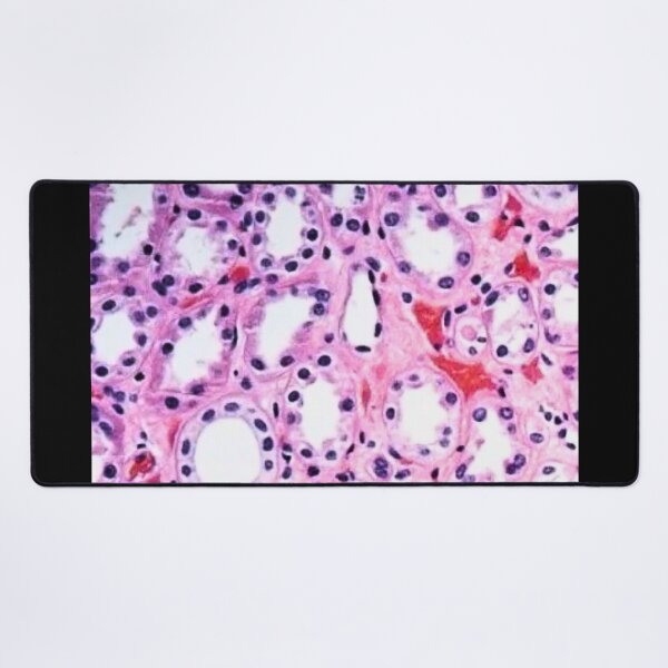 Item preview, Histology  designed and sold by Echo Aesthetics.