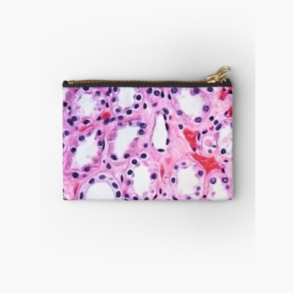 Item preview, Histology  designed and sold by Echo Aesthetics.