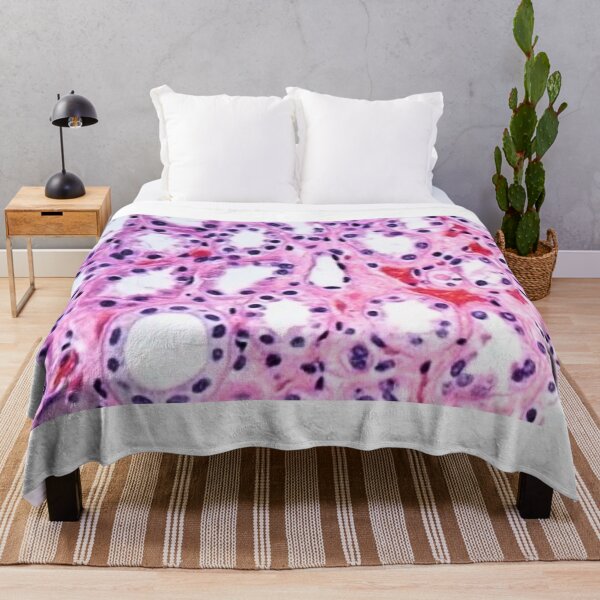 Item preview, Histology  designed and sold by Echo Aesthetics.