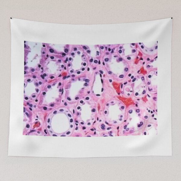 Item preview, Histology  designed and sold by Echo Aesthetics.