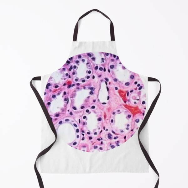 Item preview, Histology  designed and sold by Echo Aesthetics.