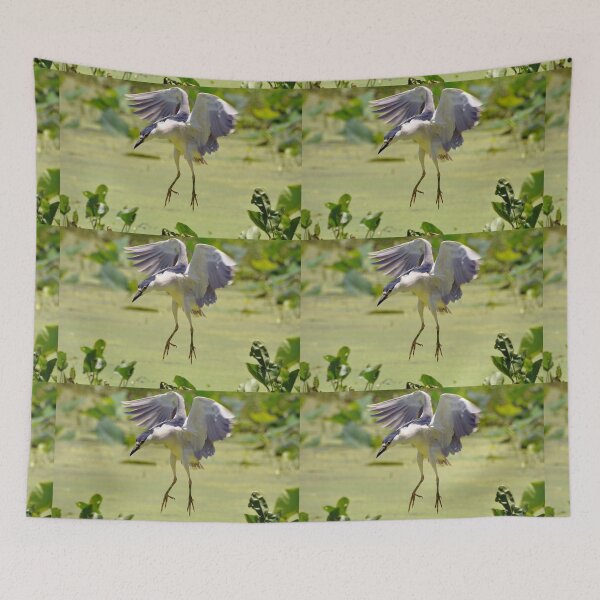 Item preview, Black-Crowned Night Heron designed and sold by Savannah Gibbs.
