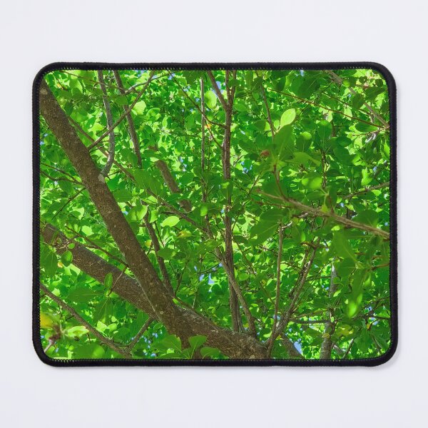 Item preview, Under the leaves designed and sold by Declic Alan.