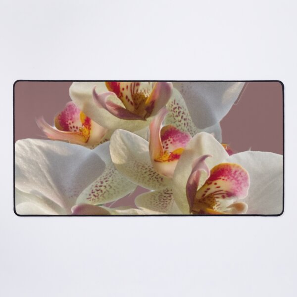 Item preview, Orchids on Dusky Rose designed and sold by jalfc46.