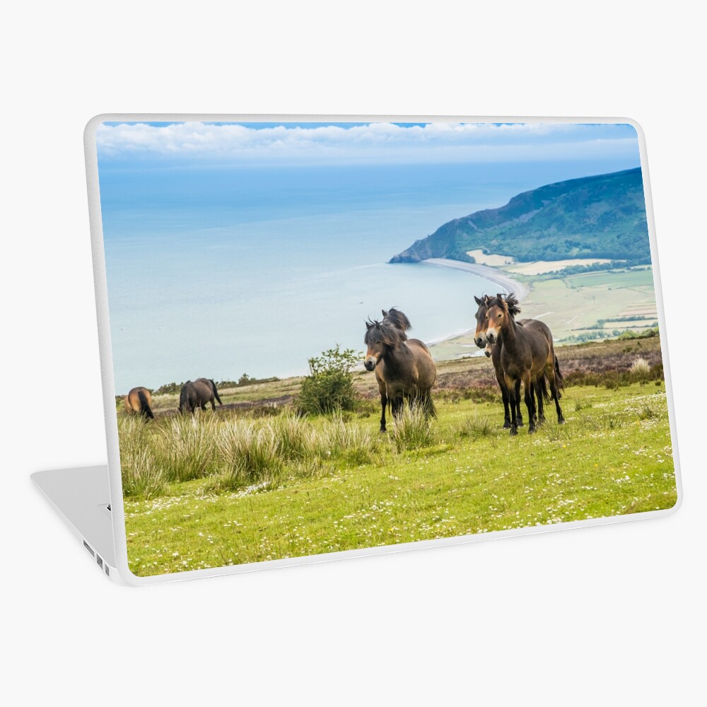 Item preview, Laptop Skin designed and sold by youngpip.