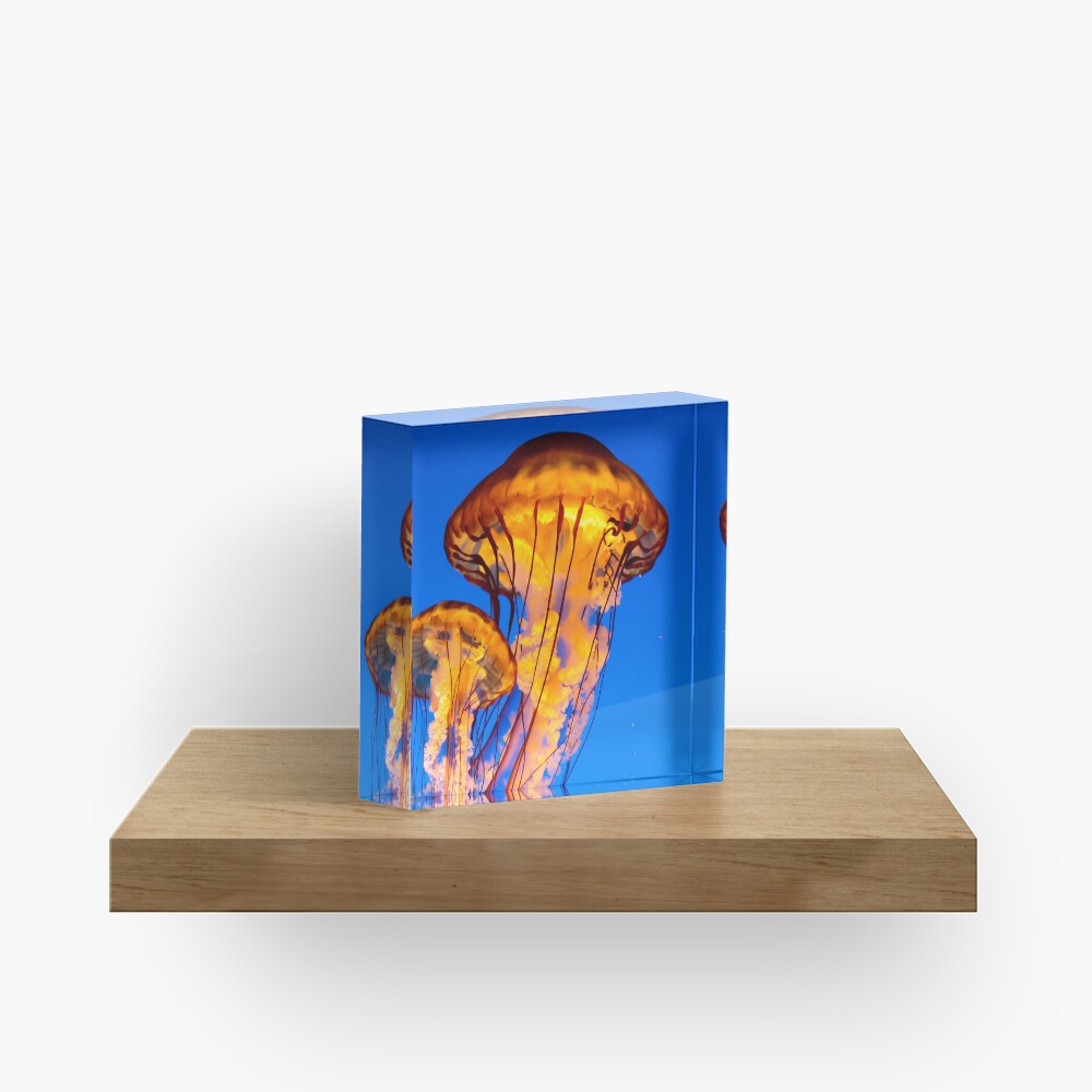 Item preview, Acrylic Block designed and sold by youngpip.