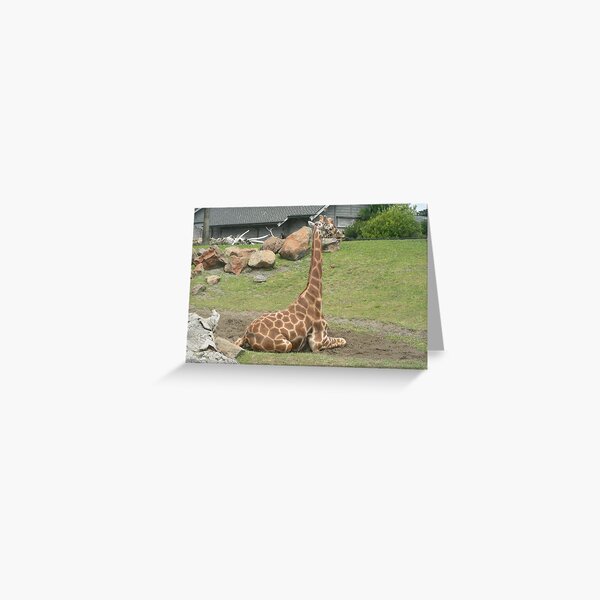 Item preview, Giraffes 010 designed and sold by pasta26mc.