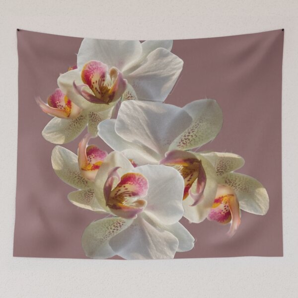 Item preview, Orchid Display on Dusky Rose designed and sold by jalfc46.