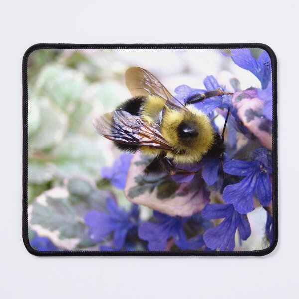 Item preview, AjucaBEE designed and sold by mmmMiMi.
