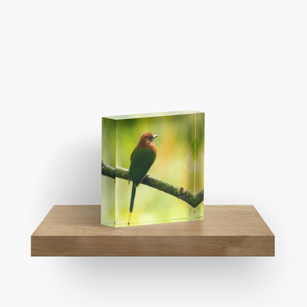 Item preview, Acrylic Block designed and sold by youngpip.