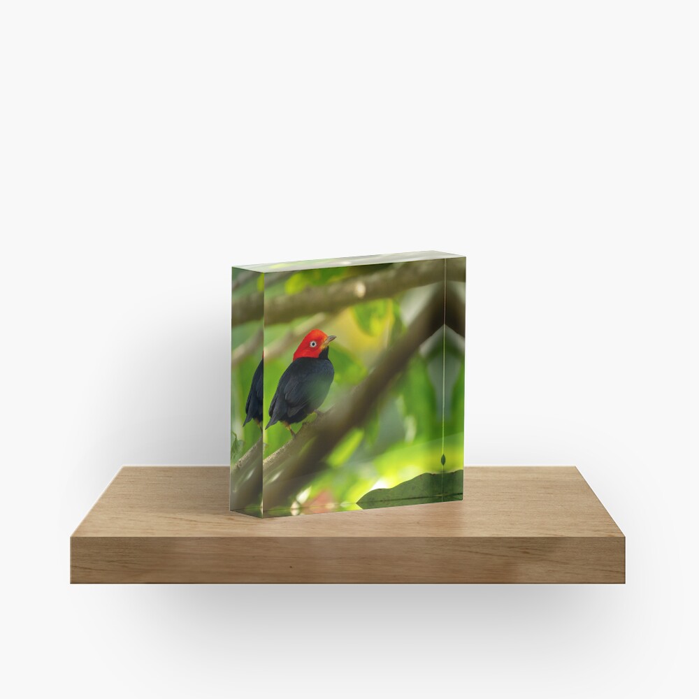 Item preview, Acrylic Block designed and sold by youngpip.