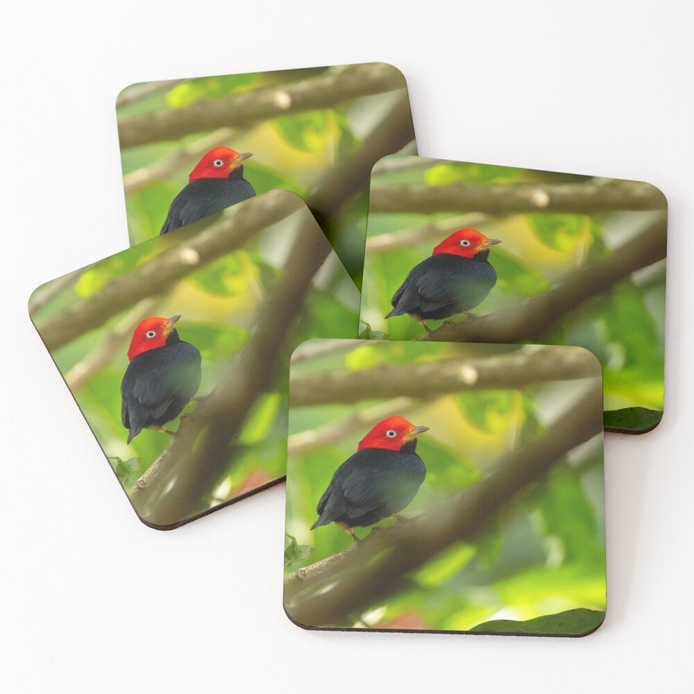 Item preview, Coasters (Set of 4) designed and sold by youngpip.