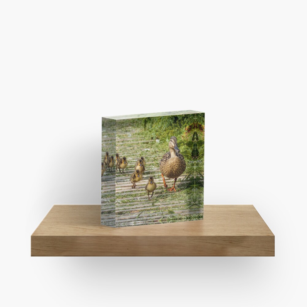 Item preview, Acrylic Block designed and sold by youngpip.