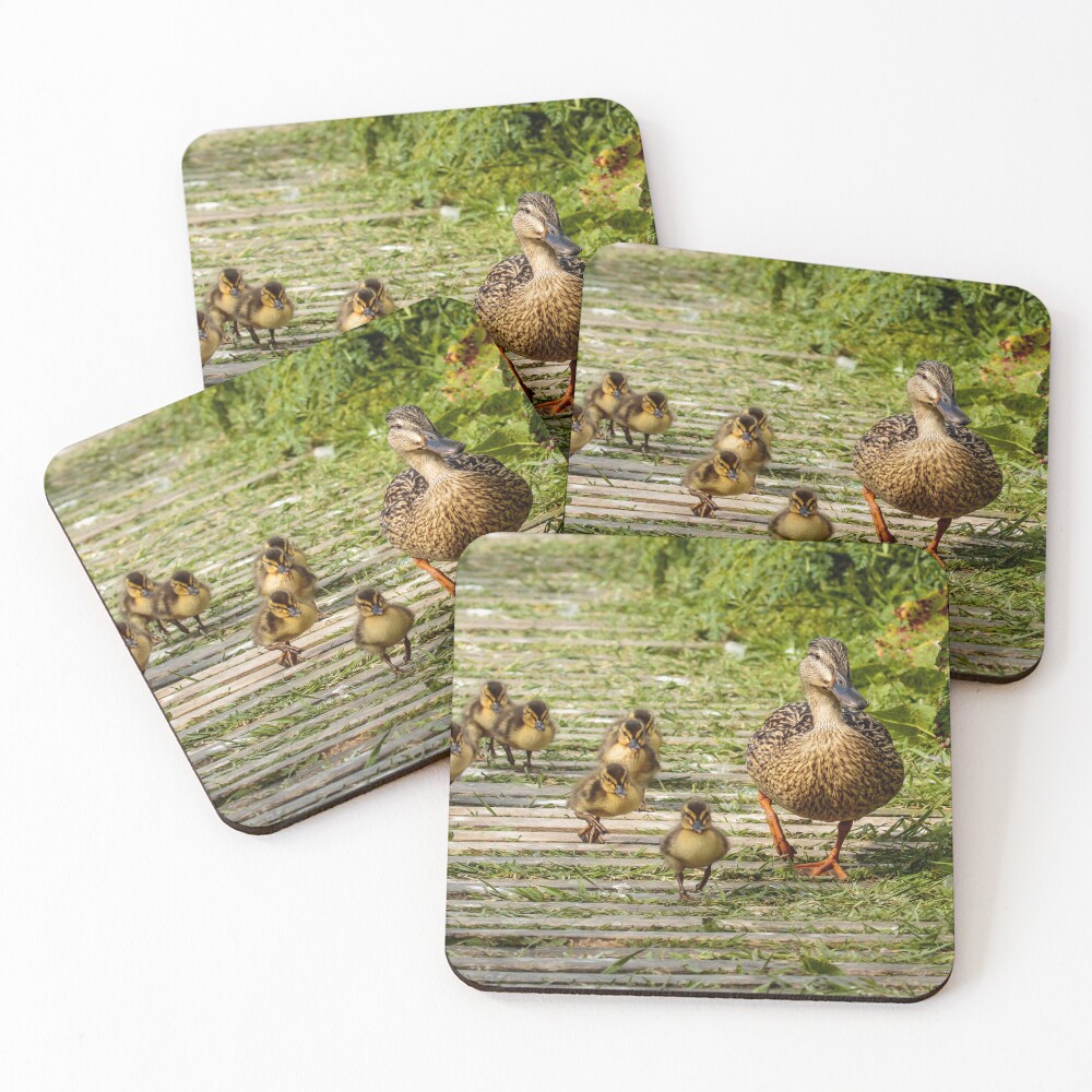 Item preview, Coasters (Set of 4) designed and sold by youngpip.