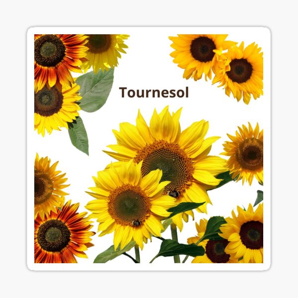 Item preview, Sunflower designed and sold by Hellokittyblueflower.