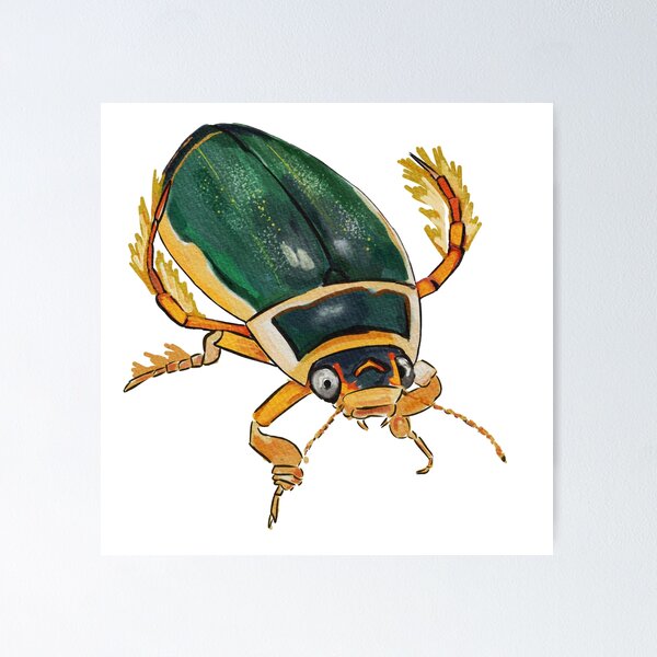 Item preview, Great Diving Beetle designed and sold by HazelHaar.