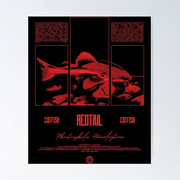 Item preview, Redtail Catfish Water Change Monster Fish designed and sold by JRRTs.