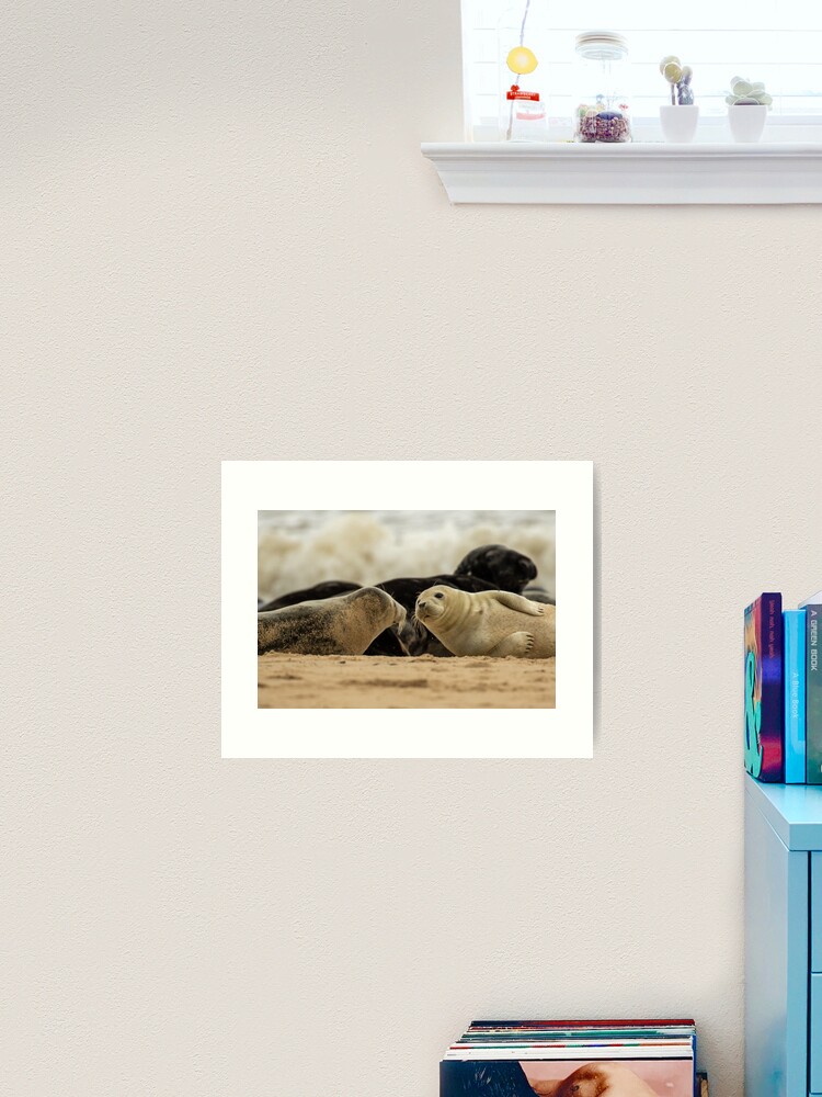 Thumbnail 2 of 3, Art Print, Seal buddies in Norfolk, UK designed and sold by youngpip.