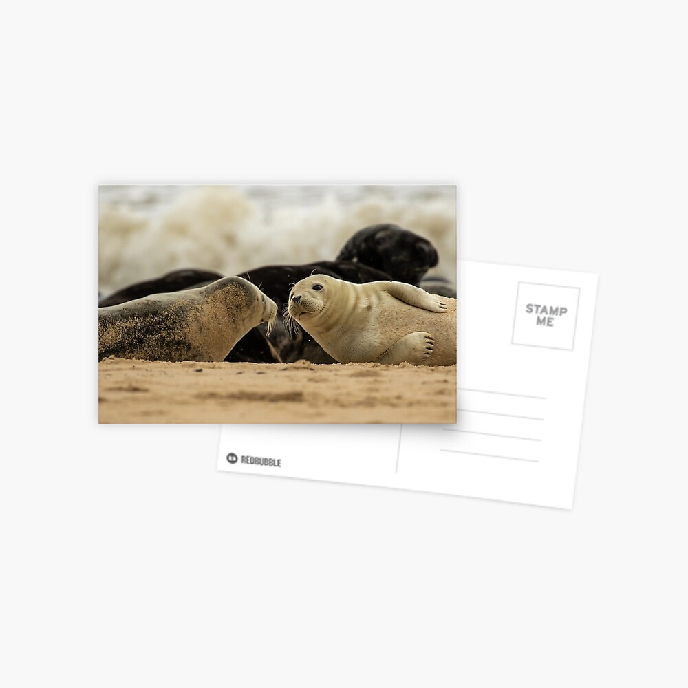 Item preview, Postcard designed and sold by youngpip.