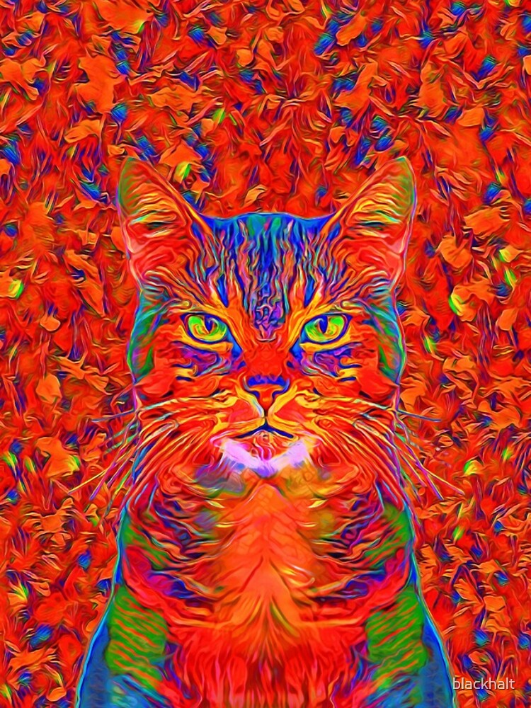 Red Cat by blackhalt